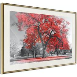 Arkiio Affisch Autumn in the Park (Red) [Poster] 45x30 Poster